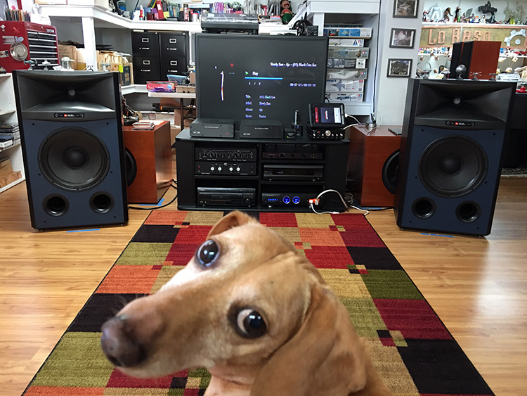 jbl 4367 review