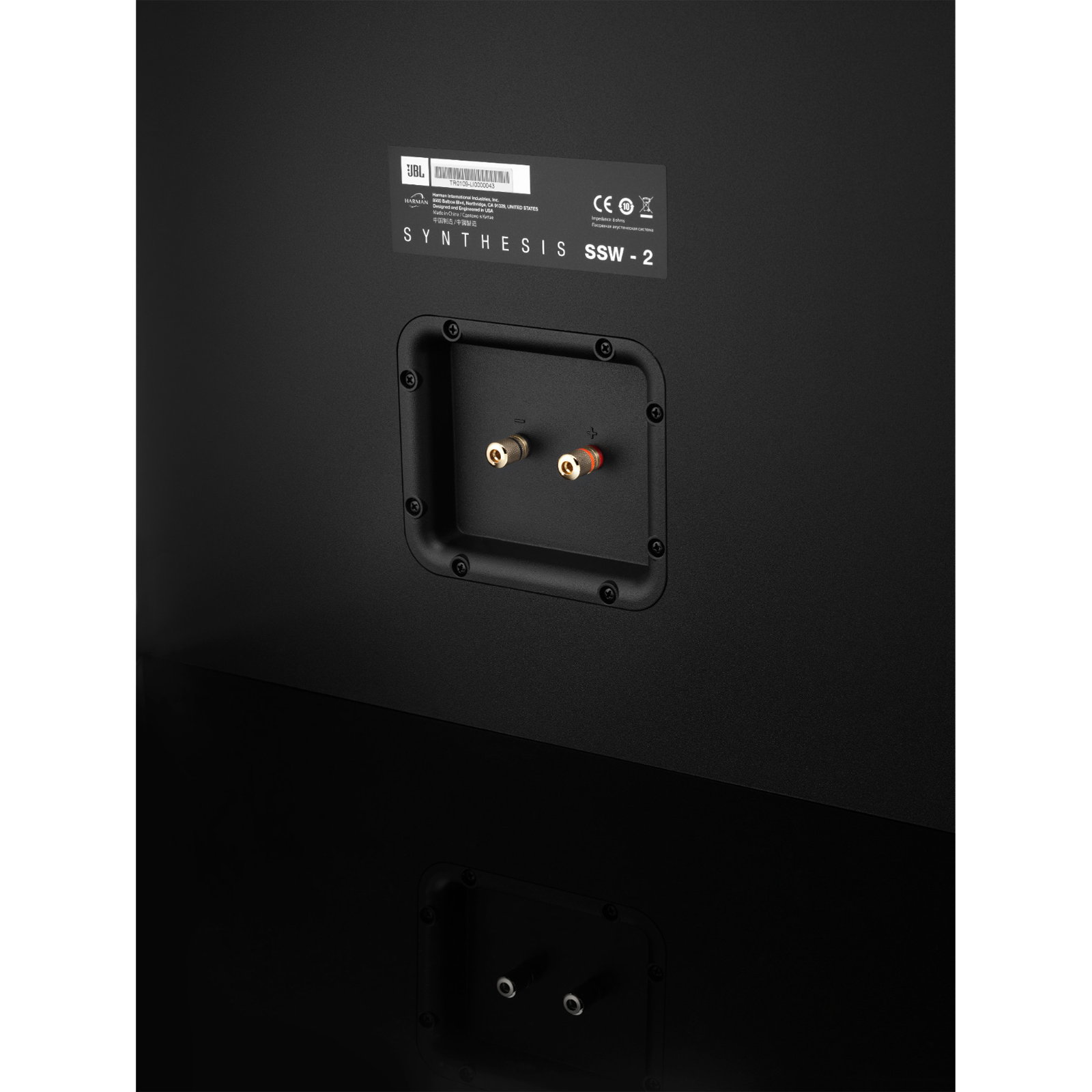 SSW-2 - Black - Dual 12” (300mm) Passive Subwoofer - Detailshot 3