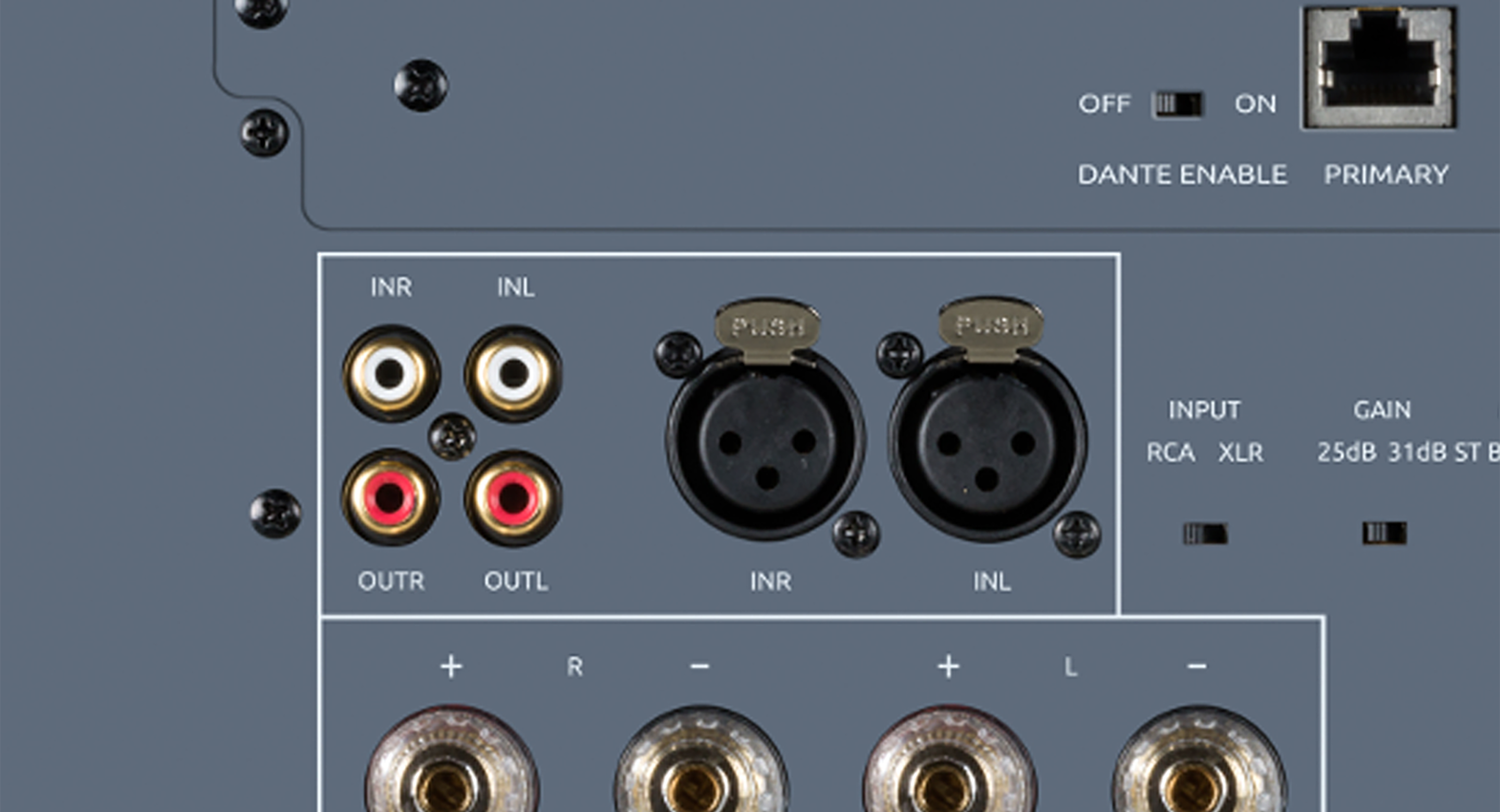 Balanced and Unbalanced Analog Inputs via XLR and RCA Connectors