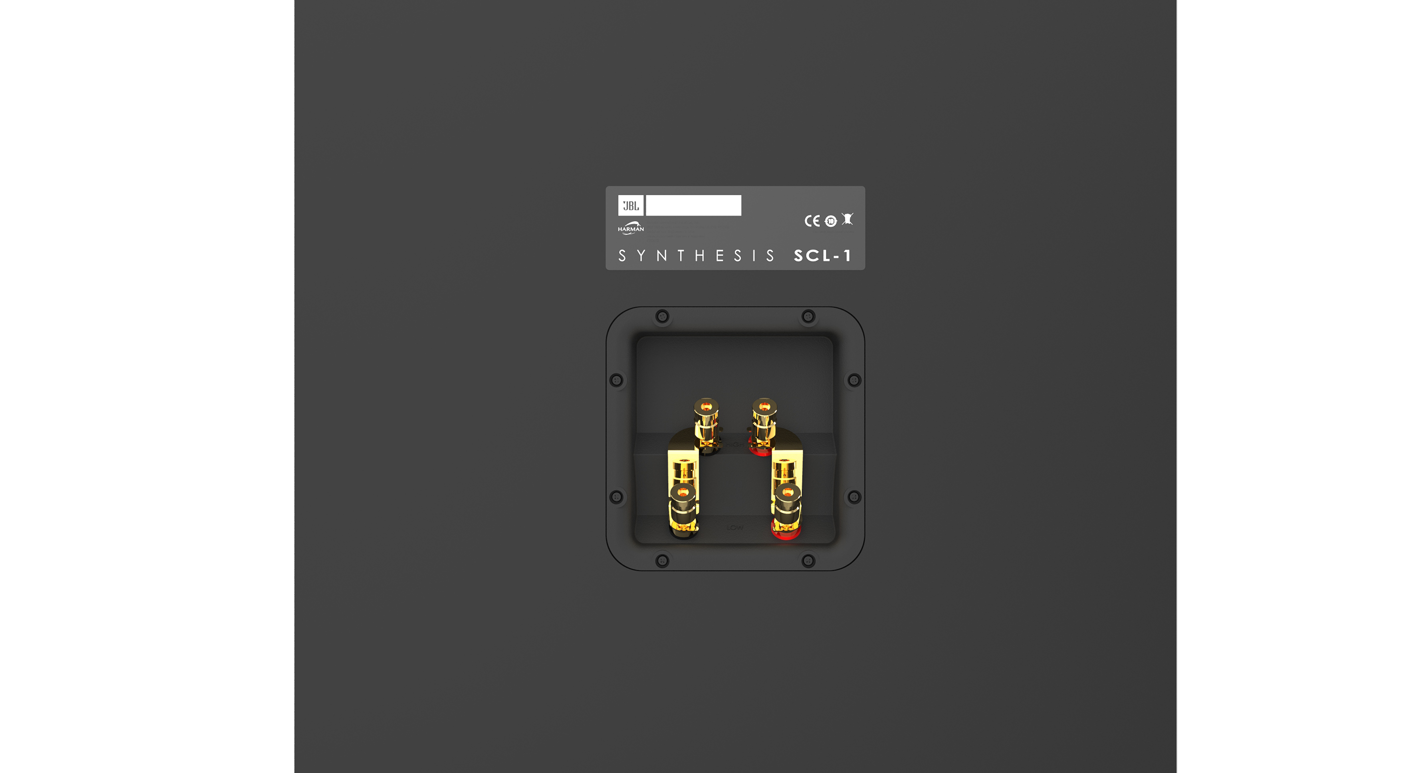 Dual Gold-plated Binding Post Input Terminals
